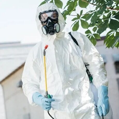 Whatsapp image 2025 03 19 at 2.49.28 pm  3 