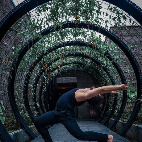 Inbound8544545160312478376