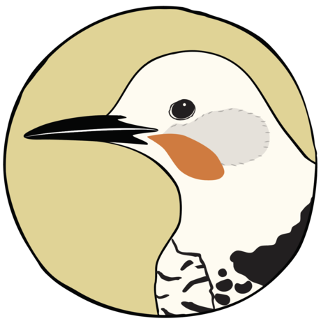 Screenshot 2025 05 12 at 4.03.10 pm