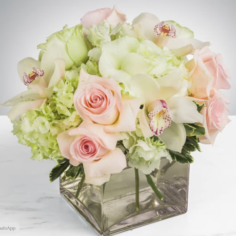 Screenshot 2025 03 25 093307