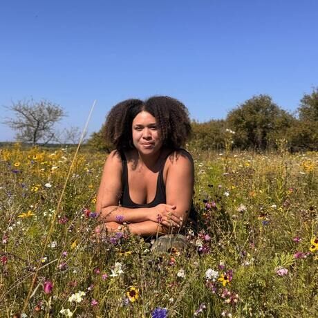 Wildflower orchard photo