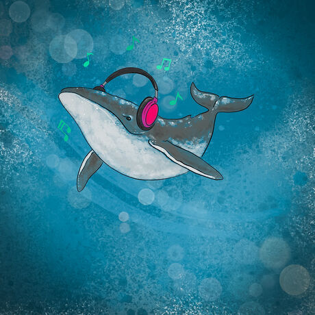 Whaletunes 2024