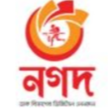 Nagad logo small