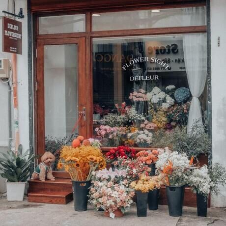 Flower shop flowersight