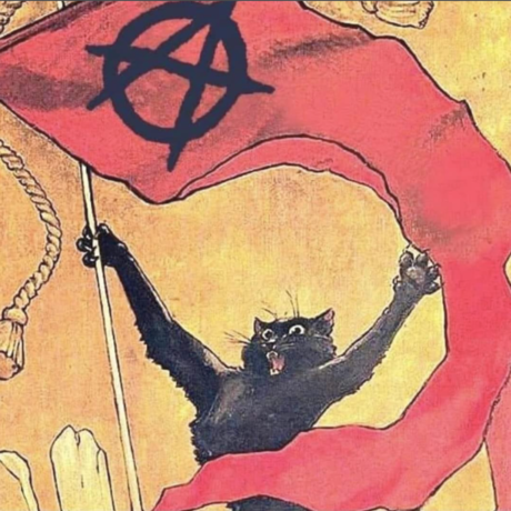 Anarchycat