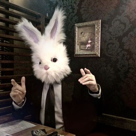 Nathan rabbit