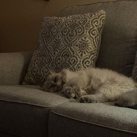 2436c318 94c2 45fe a360 66b4e82ab78f