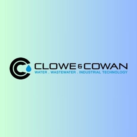 Clown and cown  2   2 