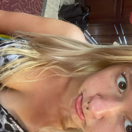 C4db8116 e09f 4d3f 9ff7 4125fb6de50c