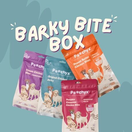 Whatsapp image 2025 08 10 at 10.52.44 pm