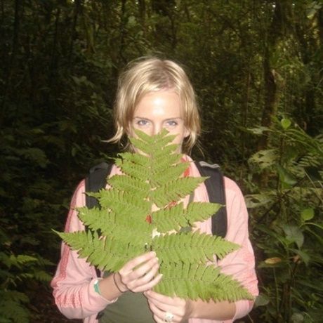 Fern
