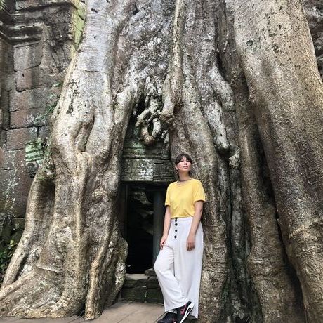 752e78e0 cb2b 4b49 bce5 f7e932c99691