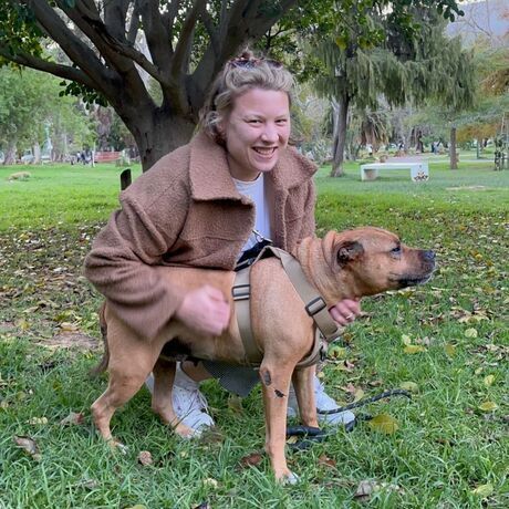 5272deaf 9434 4d02 b028 e5a2549d7e9a