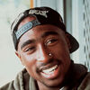 Small img 8795