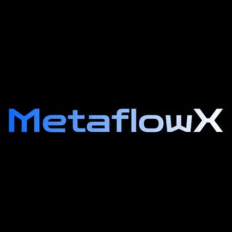 Metaflowx  1 