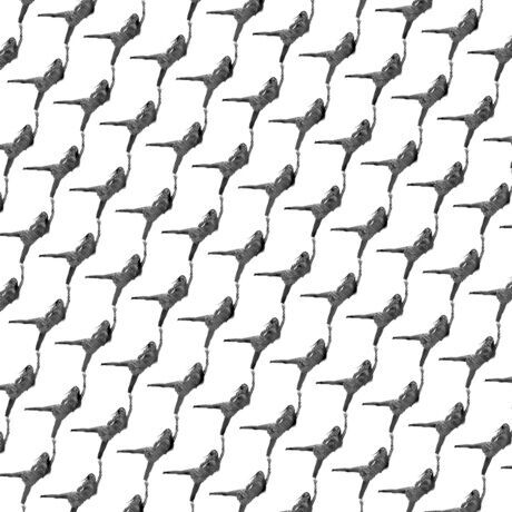 Photoroom 20250608 90416 am