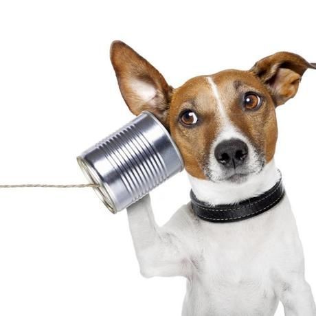 5 anomalias biologicas en los humanos 3