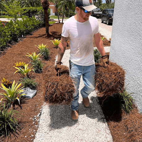 Brandon image   pure disposal