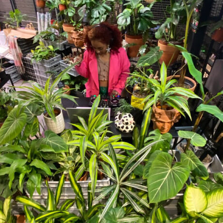 5d466f33 f9ea 48ac 91e1 4aecc8178768