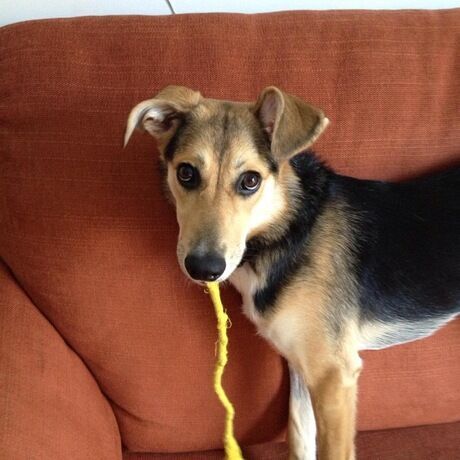 4db988e9 cdc6 4a37 b893 794ed3a1751a