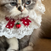 Small img 2204
