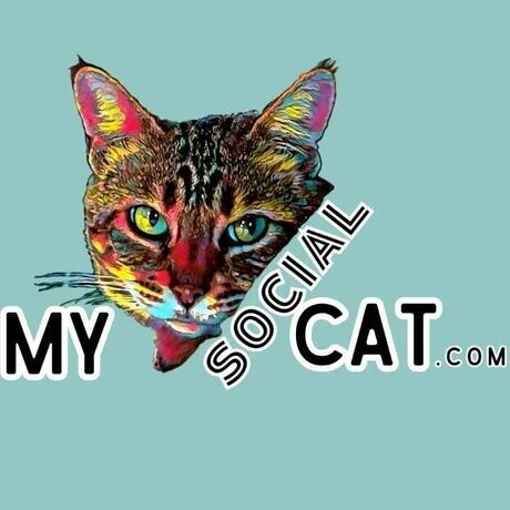 Mysocialcat 11zon1