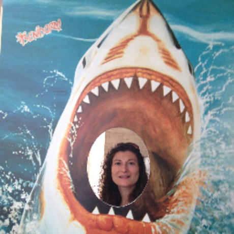 A109037f91f9735381a370cc82a544b3