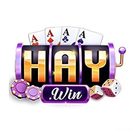 Logo haywin