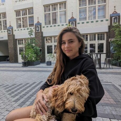 E6e99878a04ea8689bed9eb13819b03e