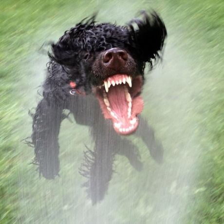 156011 10152651123178653 510602870742803951 n