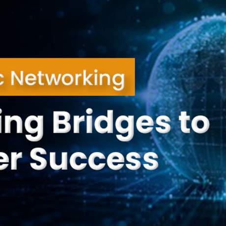 Strategic networking building bridges to career success