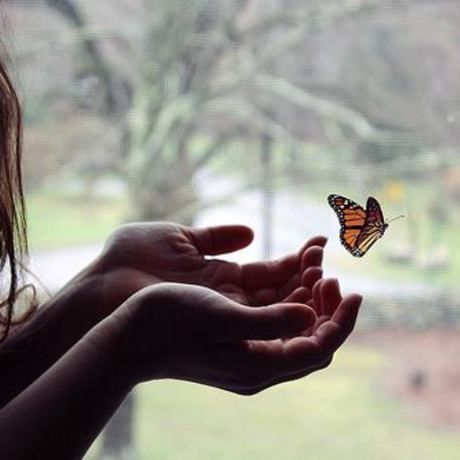 1010071 713692547522 1251118571 n