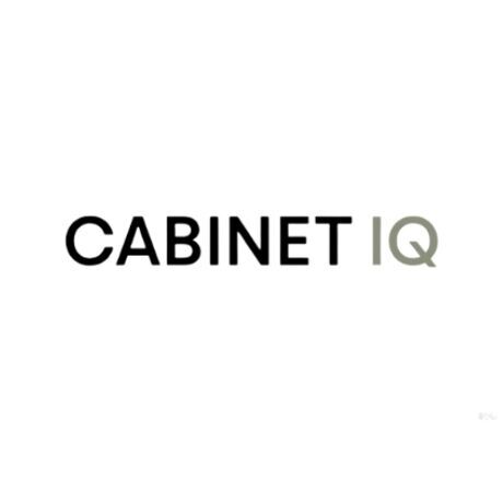 Cabinet iq of denver  1 