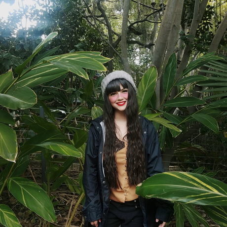 2019 03 07 08.01.43 1