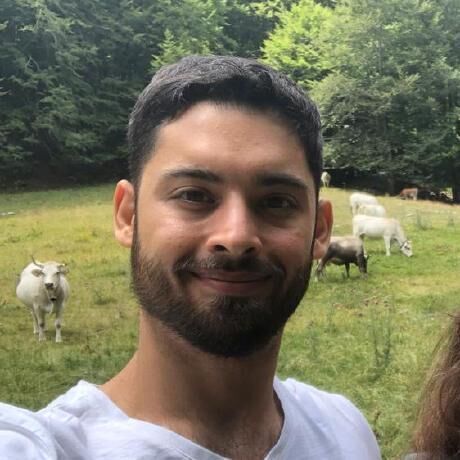Cows