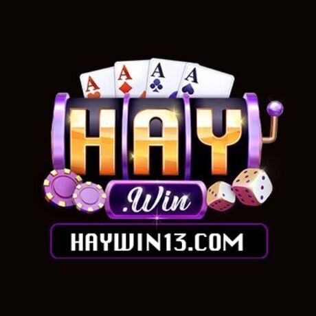 Logo haywin13.com