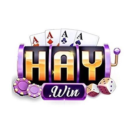 Logo haywin