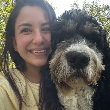 Screenshot 2026 04 06 at 12.13.51 pm