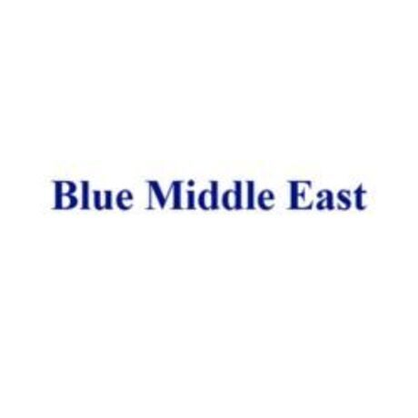 Blue logo 