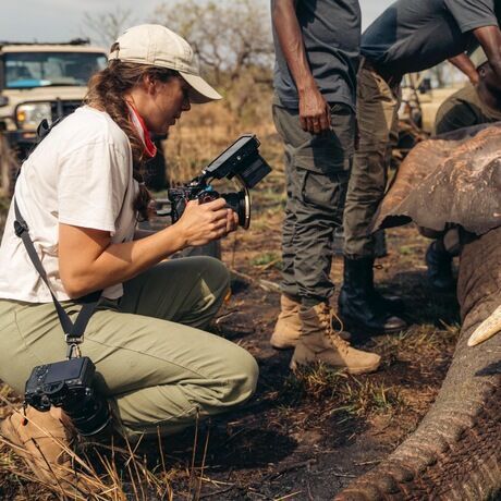 3b44ee5e ace0 41c2 9e7a 9923a31c0988