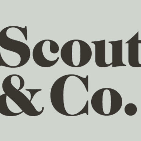 Scoutandco icon 300x300
