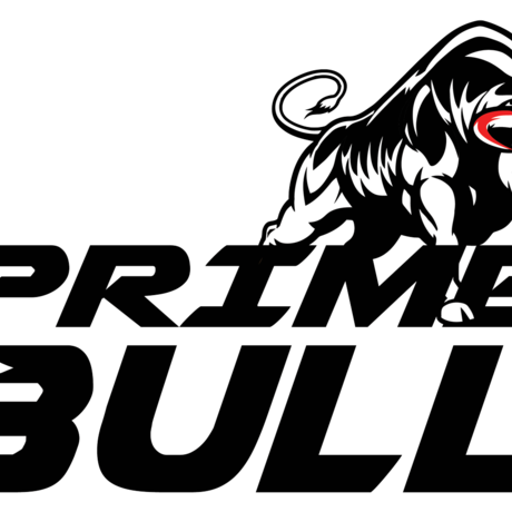 Logo prime bull