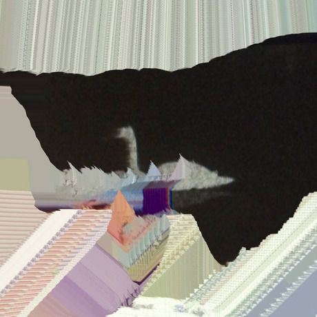 Glitch swan