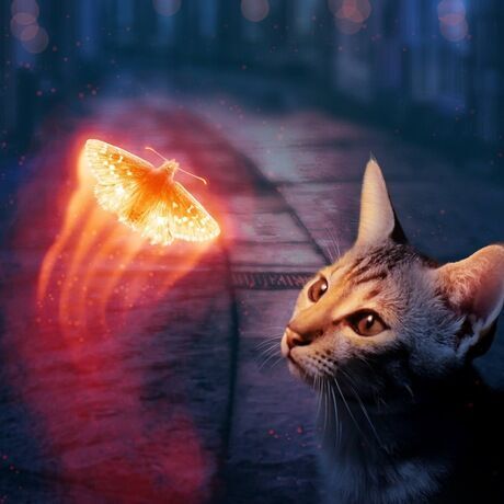Ozzymagicmoth original