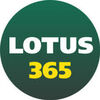 Small lotus365 1