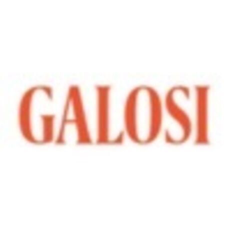 Logo galosi