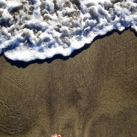 602404 10151162230749033 2090196530 n