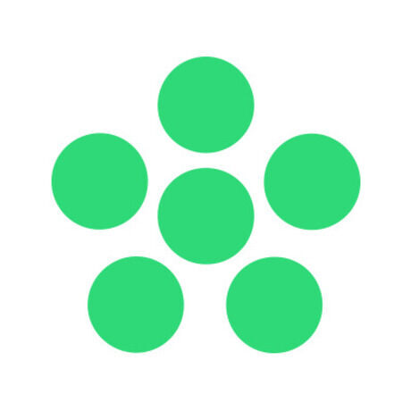 160525 cz icon green rgb instagram