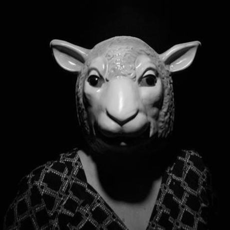 Sheep