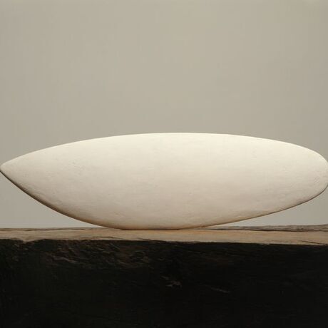 Le poisson constantin brancusi